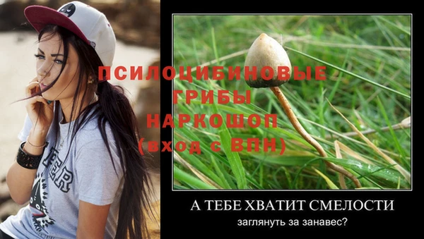 дмт Балабаново