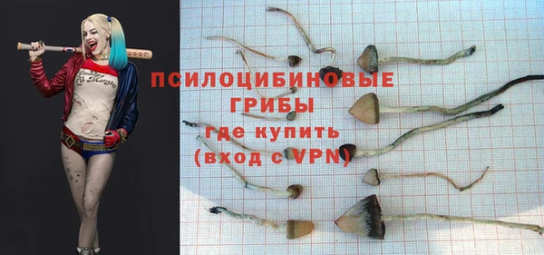 дмт Балабаново